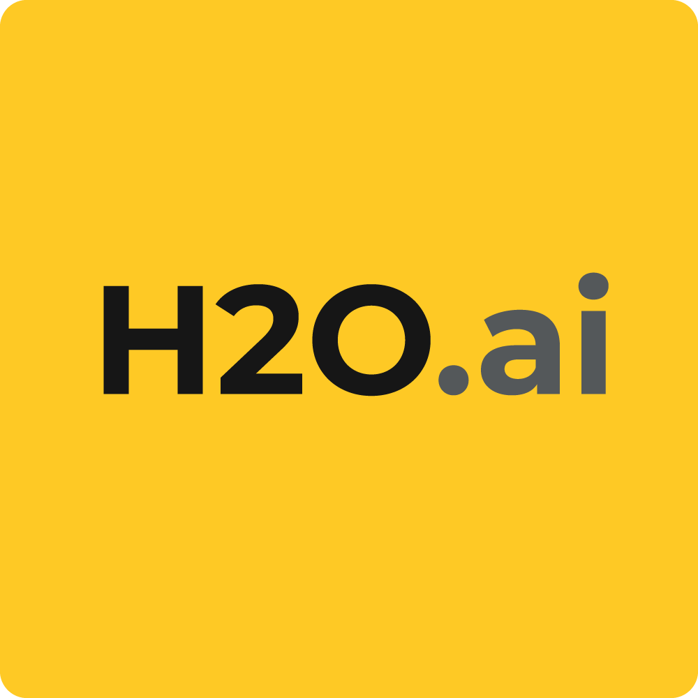 H20 AI